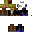 Texture for SET