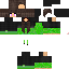 Texture for pickle
