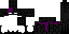 Texture for enderbro