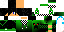 Texture for Reper