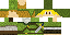 Texture for zelda