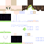 Texture for Temonich737