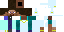 Texture for steve     boy