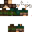 Texture for Elfo luck
