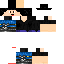 Texture for tata_pvp_pro