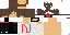 Texture for NugetBR