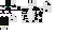 Texture for TUXEDO KITTEN