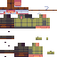 Texture for PETANI4