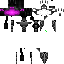 Texture for Ender