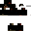 Texture for ds