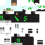 Texture for shinki