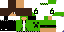 Texture for fernando