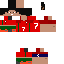Texture for steve