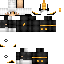Texture for PHOENIX124