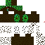 Texture for kiwi_discret4