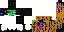 Texture for assasin 