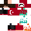 Texture for CADU2017