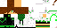 Texture for Feed