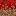 Texture for Crimson grass side