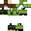 Texture for karel