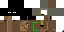 Texture for Enderman adventurer v5
