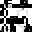 Texture for Ender