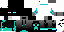 Texture for Ender