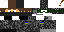 Texture for SAS 