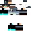 Texture for Silvergamez