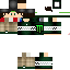 Texture for Steve