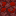 Texture for poiuyhsdcd