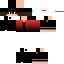 Texture for 4x1