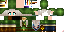 Texture for Link Menina