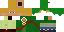 Texture for Link