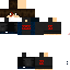 Texture for MaxDash 