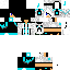 Texture for destructor620