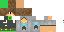 Texture for Dvorix98