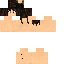 Texture for 茶粉