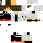 Texture for steve.r