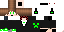 Texture for Dinho