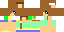 Texture for Rosa