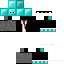Texture for Shingjacky