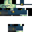 Texture for Pilis