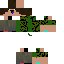 Texture for julia