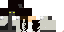 Texture for Shebar