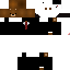 Texture for GILSKIN