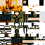 Texture for Tony the tiger