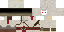 Texture for KLLR Altair