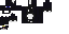 Texture for cat noir
