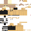 Texture for SDF